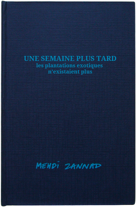 Carnet de ville Mehdi Zannad dessins in situ Montreuil